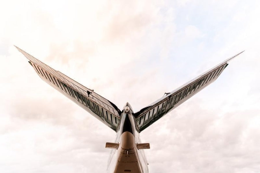 Whelen Orion 500 Aircraft AntiCollision Lights Pacific Coast Avionics