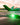 Orion 650 LED Airplane Navigation Lights - Pacific Coast Avionics